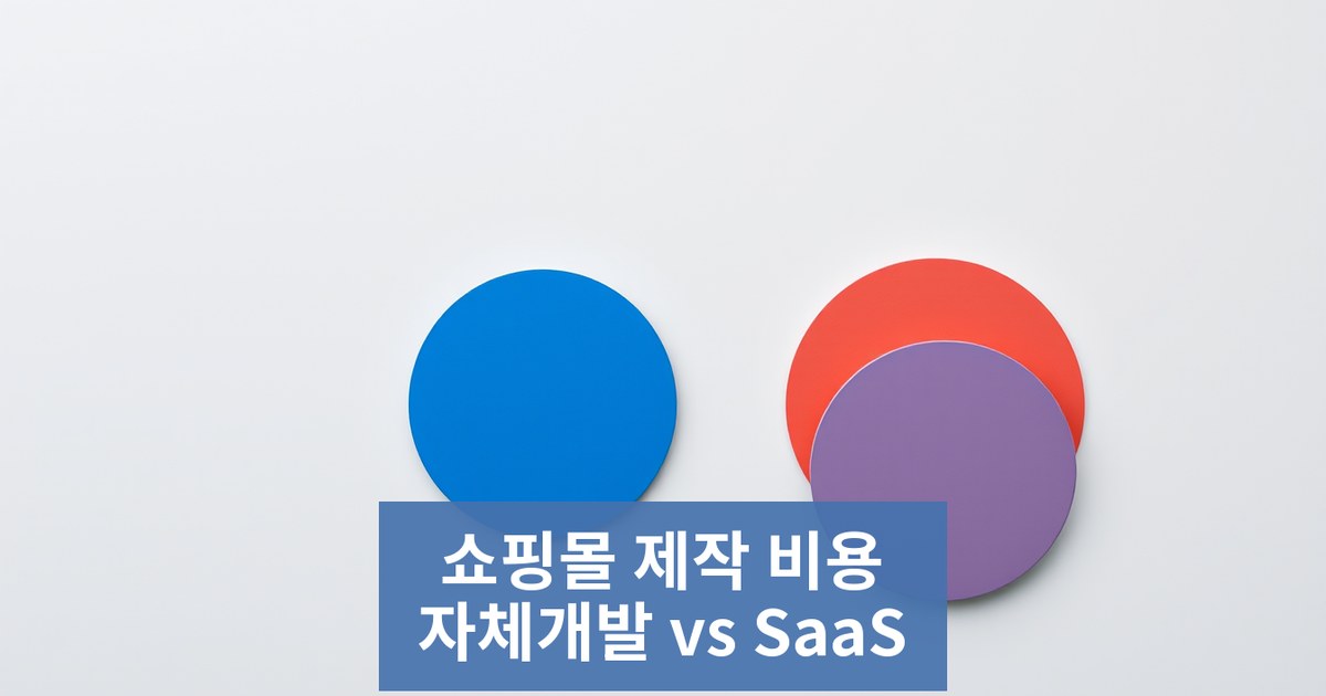 [쇼핑몰 제작 비용 가이드] 자체 개발 vs 플랫폼(SaaS), 숨은 유지비와 5 년 총 소유 비용(TCO) 비교 분석 — 중소기업 대표를 위한 실전 선택 기준