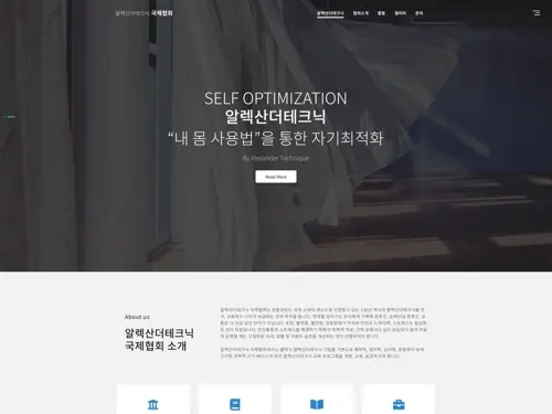 알렉산더테크닉 국제협회 홈페이지